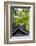 Ornately Designed Roof and Japanese Maple Leaves at the Golden Temple, Kyoto, Japan-Paul Dymond-Framed Photographic Print