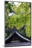 Ornately Designed Roof and Japanese Maple Leaves at the Golden Temple, Kyoto, Japan-Paul Dymond-Mounted Photographic Print