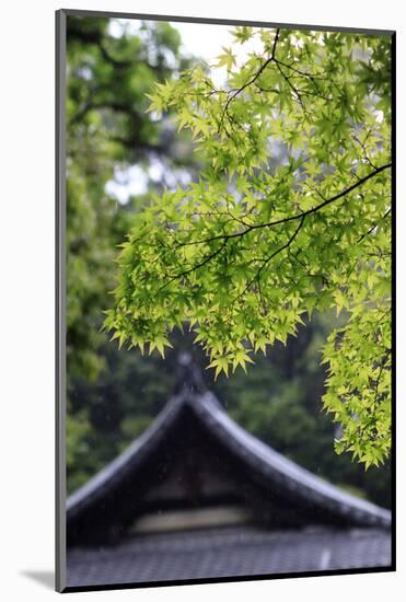 Ornately Designed Roof and Japanese Maple Leaves at the Golden Temple, Kyoto, Japan-Paul Dymond-Mounted Photographic Print