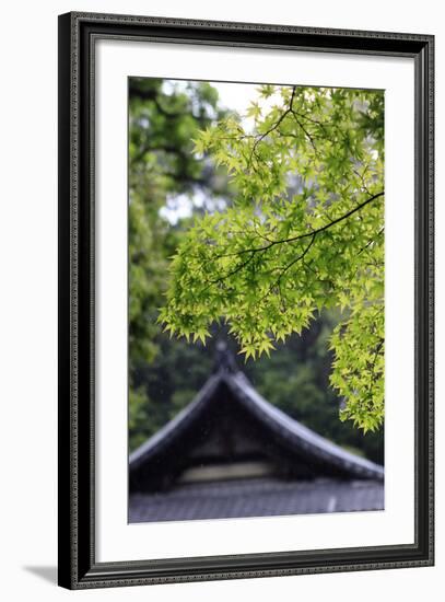 Ornately Designed Roof and Japanese Maple Leaves at the Golden Temple, Kyoto, Japan-Paul Dymond-Framed Photographic Print