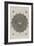 Ornements-Leonardo da Vinci-Framed Giclee Print