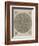 Ornements-Leonardo da Vinci-Framed Giclee Print