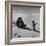 Ornithologist Photographing Native Penguin-Fritz Goro-Framed Photographic Print