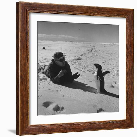 Ornithologist Photographing Native Penguin-Fritz Goro-Framed Photographic Print