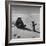 Ornithologist Photographing Native Penguin-Fritz Goro-Framed Photographic Print