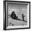 Ornithologist Photographing Native Penguin-Fritz Goro-Framed Photographic Print