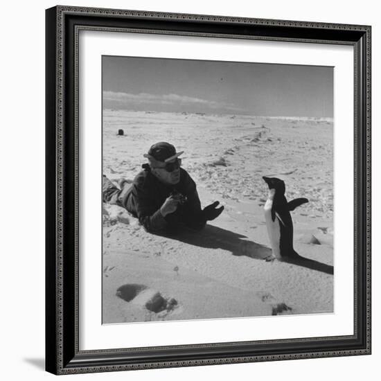 Ornithologist Photographing Native Penguin-Fritz Goro-Framed Photographic Print