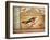 Ornithology-Gregory Gorham-Framed Art Print