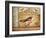 Ornithology-Gregory Gorham-Framed Art Print