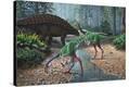 Stretched Canvas Print