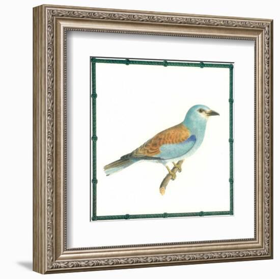 Ornitologica III-null-Framed Art Print