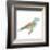 Ornitologica III-null-Framed Art Print