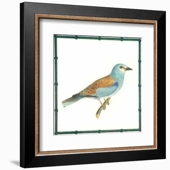 Ornitologica III-null-Framed Art Print