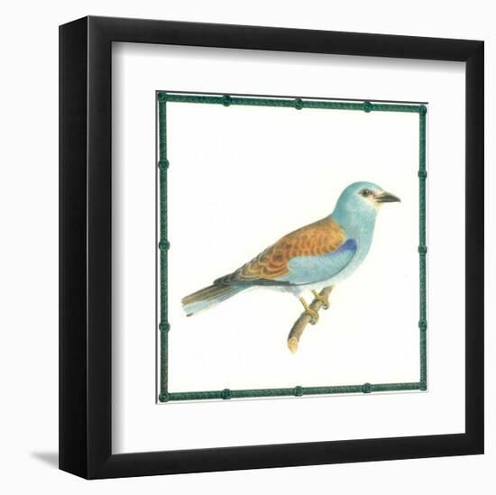 Ornitologica III-null-Framed Art Print