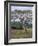 Oromo Country, Bako Region, Shoa State, Ethiopia, Africa-Bruno Barbier-Framed Photographic Print