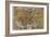 Oronce Fine's World Map, 1531-Library of Congress-Framed Photographic Print