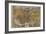 Oronce Fine's World Map, 1531-Library of Congress-Framed Photographic Print