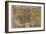 Oronce Fine's World Map, 1531-Library of Congress-Framed Photographic Print