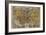 Oronce Fine's World Map, 1531-Library of Congress-Framed Photographic Print