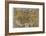 Oronce Fine's World Map, 1531-Library of Congress-Framed Photographic Print