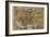 Oronce Fine's World Map, 1531-Library of Congress-Framed Photographic Print