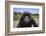 Orphaned or Abused Chimpanzees (Pan Troglodytes), Sweetwaters Chimpanzee Sanctuary, Kenya-Ann & Steve Toon-Framed Photographic Print