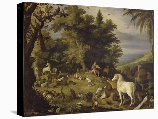 Stretched Canvas Print, , large