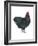 Orpington (Gallus Gallus Domesticus), Rooster, Poultry, Birds-Encyclopaedia Britannica-Framed Art Print