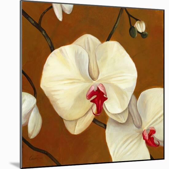 Orquideas Blancas I-Clunia-Mounted Art Print