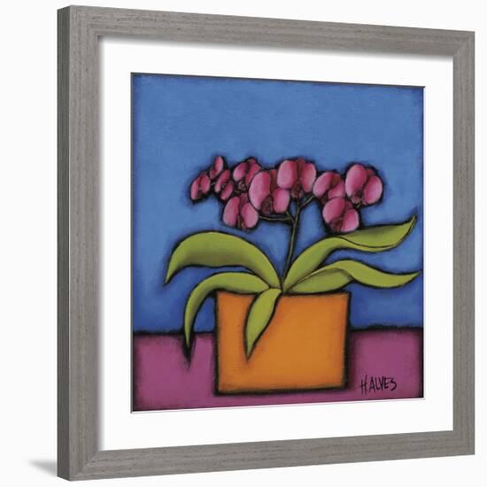 Orquidia Rosa-H Alves-Framed Giclee Print