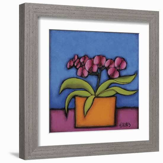 Orquidia Rosa-H Alves-Framed Giclee Print