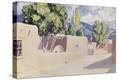 Stretched Canvas Print