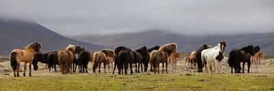 Presto-Þorsteinn H Ingibergsson-Photographic Print