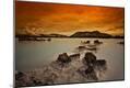 Photographic Print