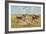 Orthodox Foxhounds-Thomas Ivester Llyod-Framed Art Print