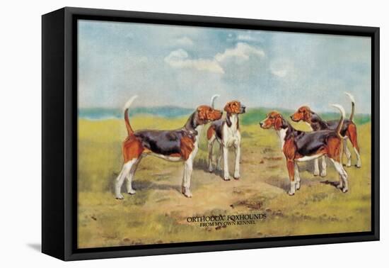 Orthodox Foxhounds-Thomas Ivester Llyod-Framed Stretched Canvas