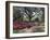 Orton Plantation Gardens, North Carolina, USA-null-Framed Photographic Print