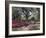 Orton Plantation Gardens, North Carolina, USA-null-Framed Photographic Print