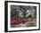 Orton Plantation Gardens, North Carolina, USA-null-Framed Photographic Print