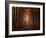 Orton Wood-Philippe Sainte-Laudy-Framed Photographic Print