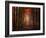 Orton Wood-Philippe Sainte-Laudy-Framed Photographic Print