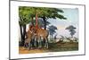 Oryx, 1860-null-Mounted Giclee Print