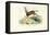 Oryx, 1863-79-Raimundo Petraroja-Framed Premier Image Canvas