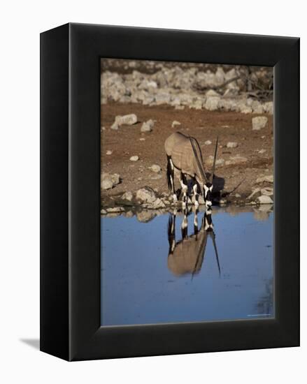 Oryx at Waterhole, Namibia, Africa-I Vanderharst-Framed Premier Image Canvas