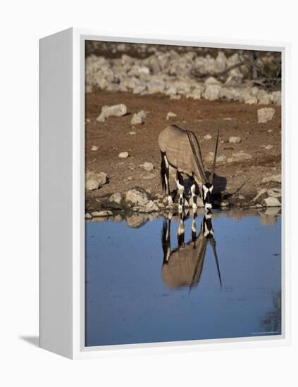 Oryx at Waterhole, Namibia, Africa-I Vanderharst-Framed Premier Image Canvas