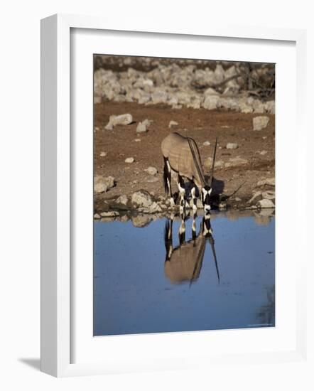 Oryx at Waterhole, Namibia, Africa-I Vanderharst-Framed Photographic Print