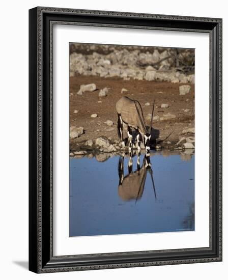 Oryx at Waterhole, Namibia, Africa-I Vanderharst-Framed Photographic Print