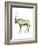 Oryx (Oryx Gazella), Mammals-Encyclopaedia Britannica-Framed Art Print