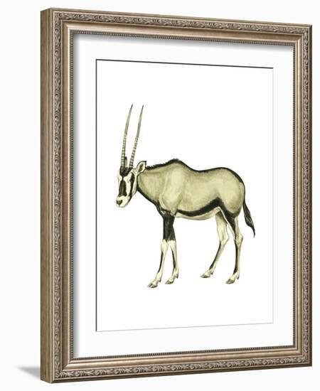 Oryx (Oryx Gazella), Mammals-Encyclopaedia Britannica-Framed Art Print