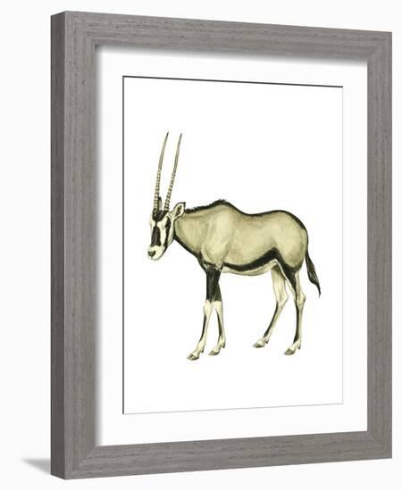 Oryx (Oryx Gazella), Mammals-Encyclopaedia Britannica-Framed Art Print